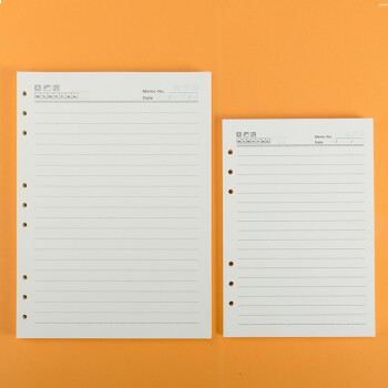 国俊B5/9孔活页本芯0009